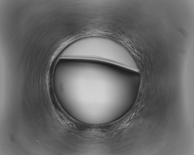 X0000111640244200907171044