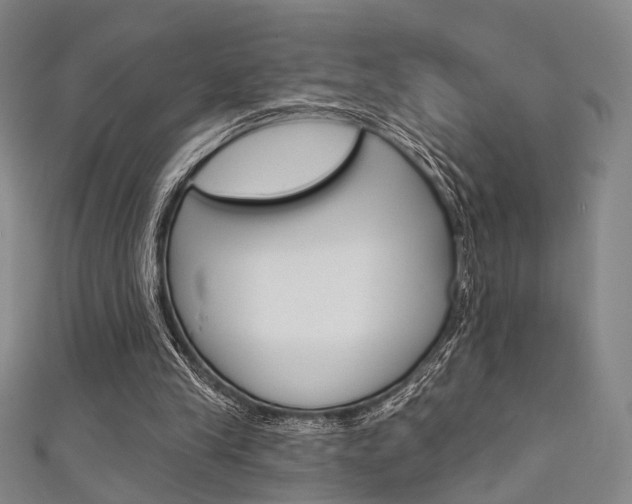 X0000111640245200907171044