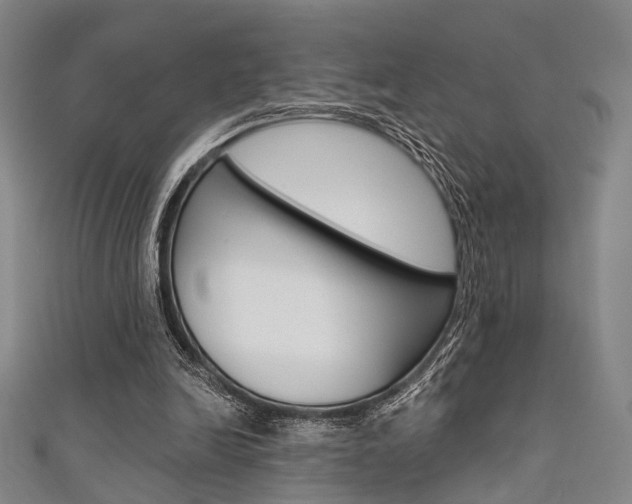 X0000111640246200907171044