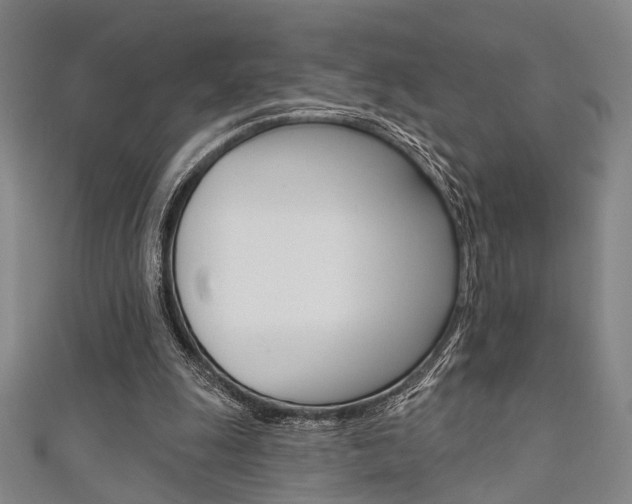 X0000111640247200907171044
