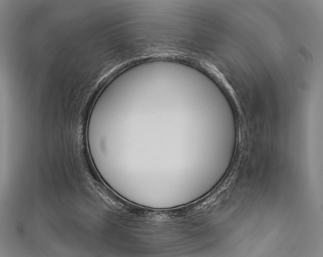 X0000111640249200907171044