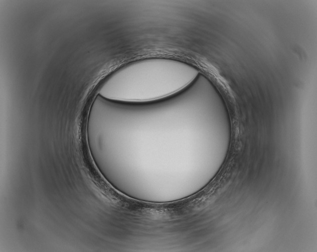 X0000111640250200907171044