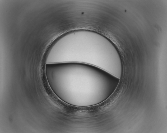 X0000111640252200907171044