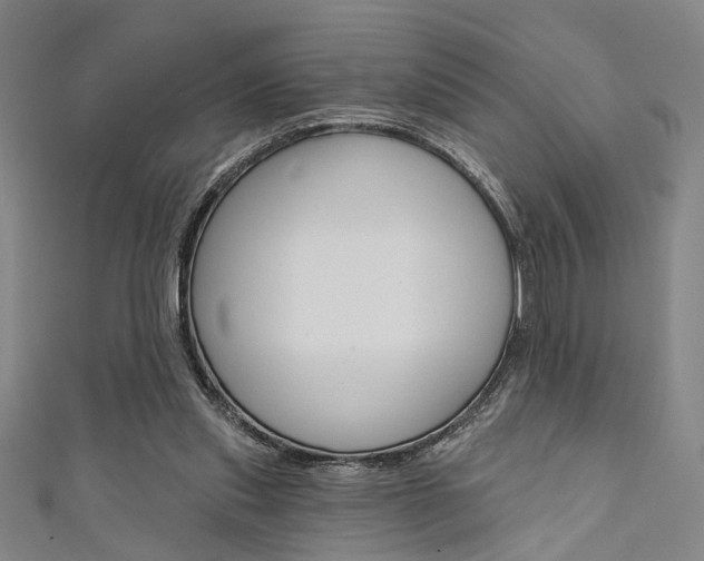X0000111640253200907171044