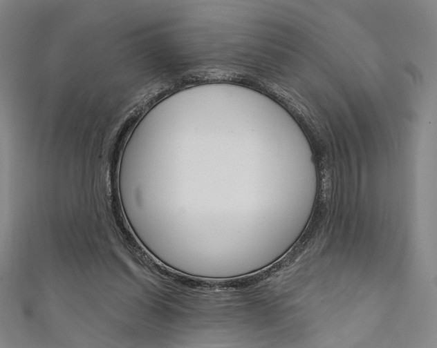 X0000111640254200907171044