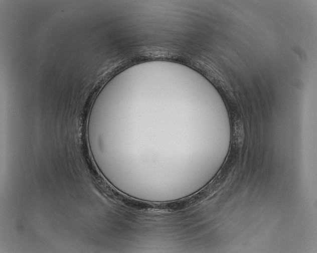 X0000111640255200907171044