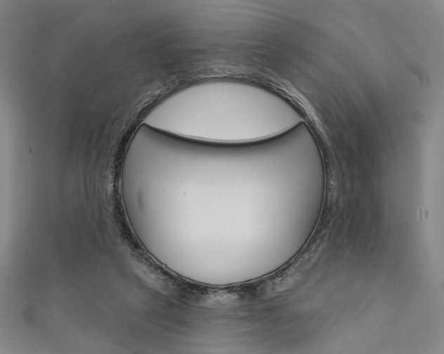 X0000111640257200907171044