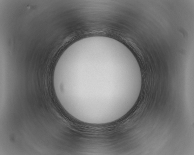 X0000111640260200907171044