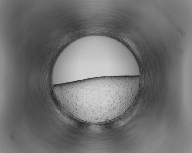 X0000111640261200907171044