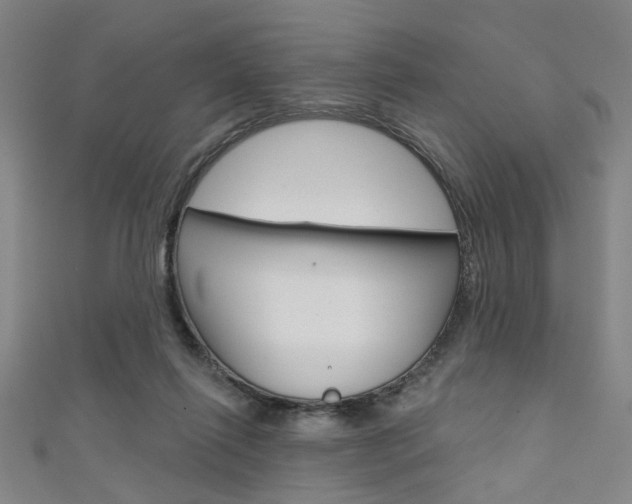 X0000111640262200907171044