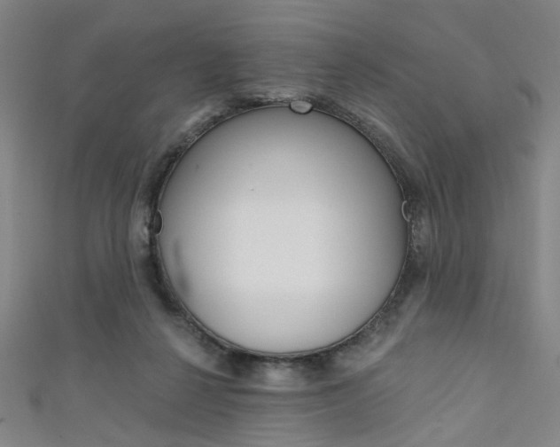 X0000111640264200907171044