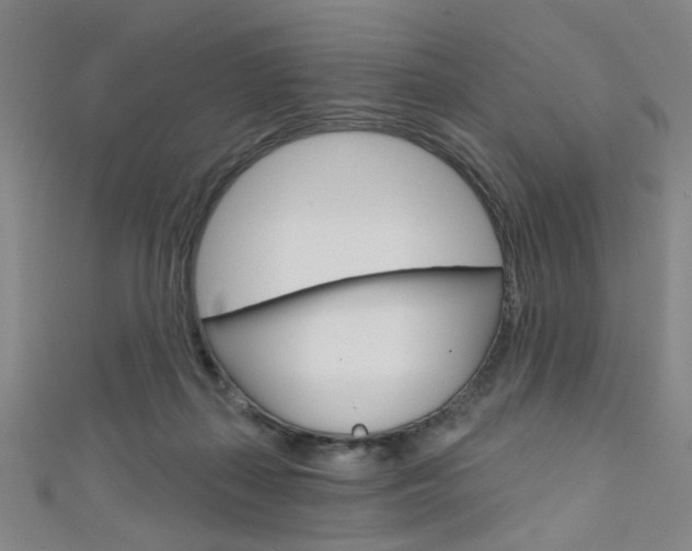 X0000111640267200907171044