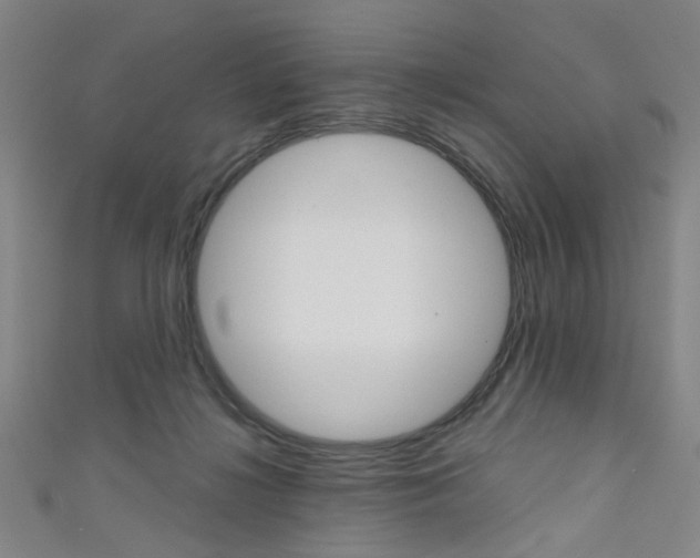 X0000111640268200907171044