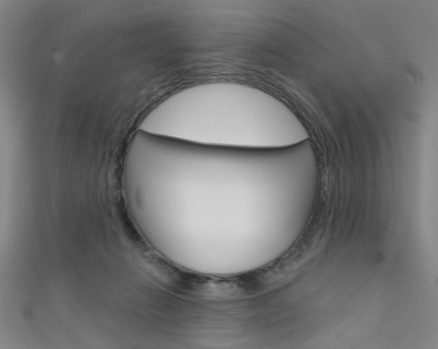 X0000111640270200907171044