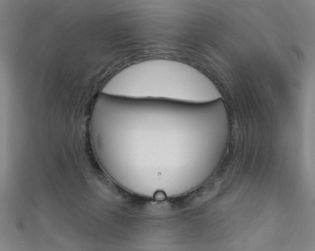 X0000111640271200907171044