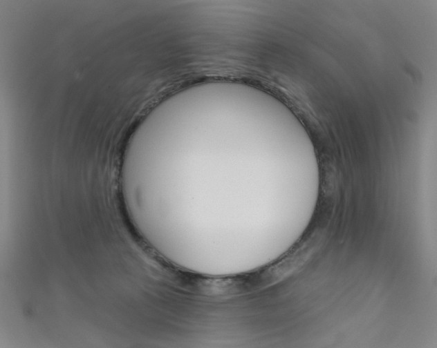X0000111640273200907171044