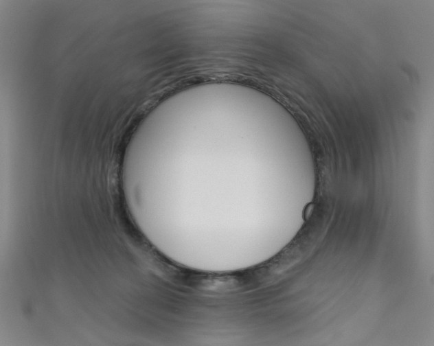 X0000111640274200907171044