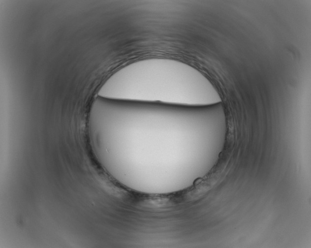 X0000111640278200907171044