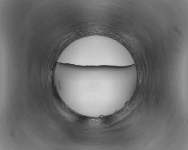 X0000111640279200907171044