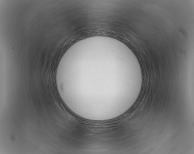 X0000111640280200907171044
