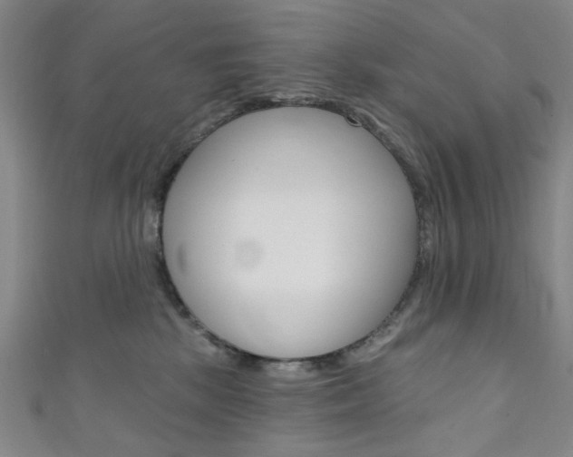 X0000111640281200907171044