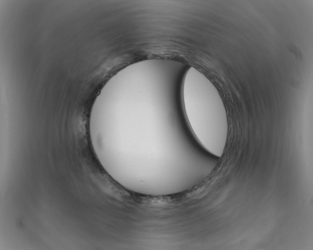 X0000111640282200907171044