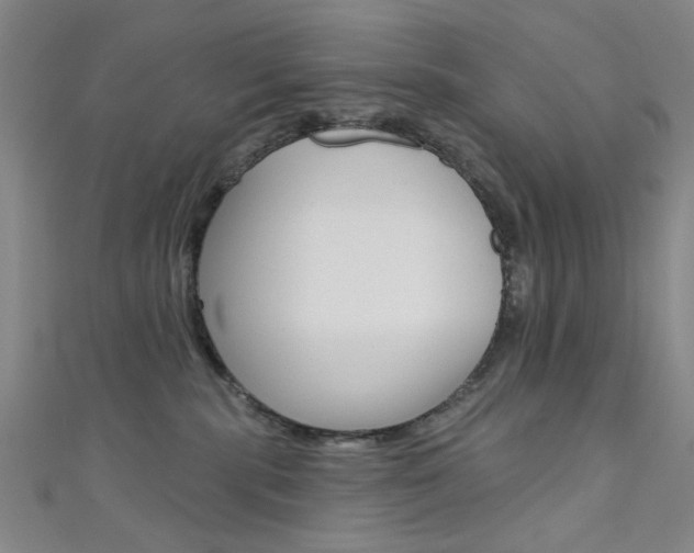 X0000111640283200907171044