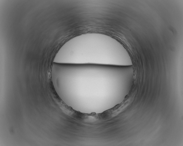 X0000111640285200907171044
