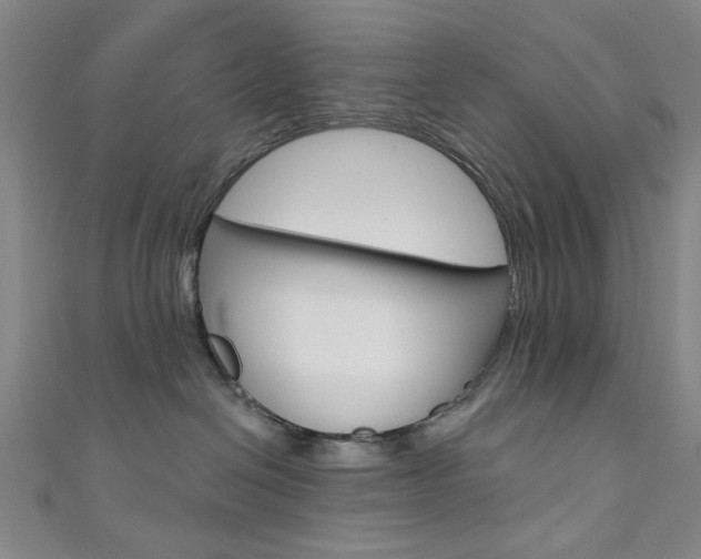 X0000111640286200907171044