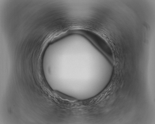 X0000111640289200907171044