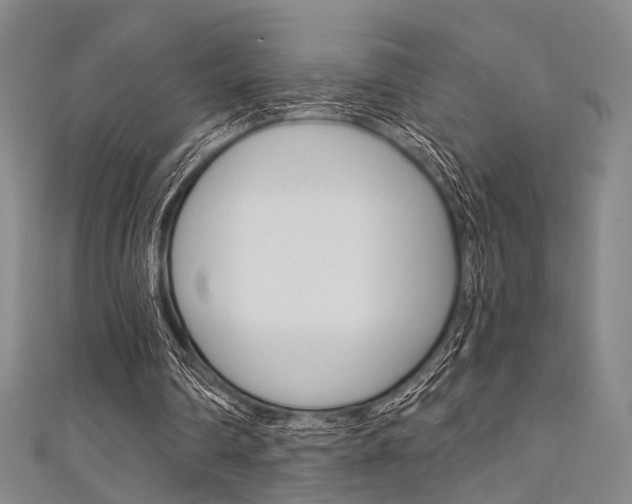 X0000111640290200907171044