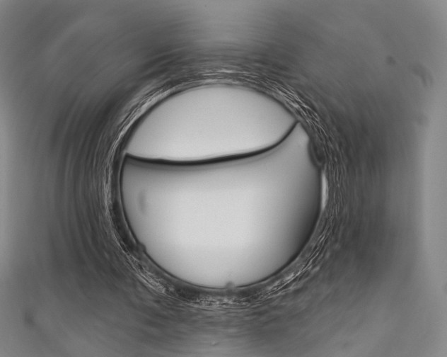 X0000111640291200907171044