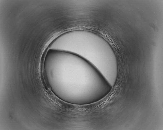 X0000111640292200907171044