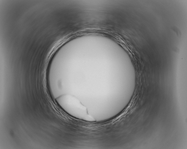 X0000111640293200907171044