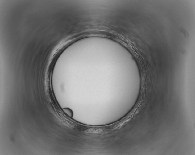 X0000111640294200907171044