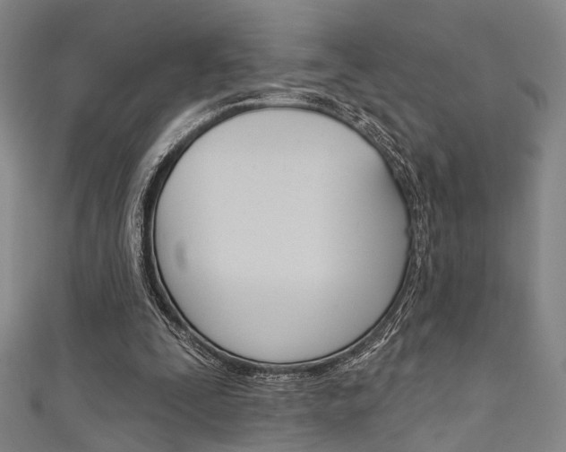X0000111640295200907171044