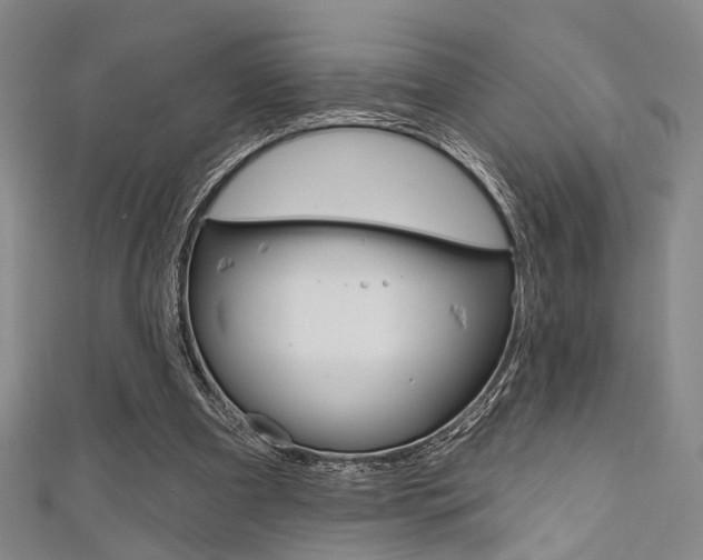 X0000111640297200907171044