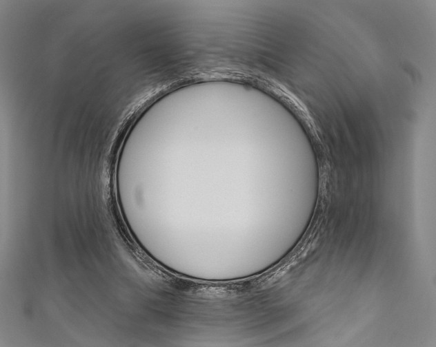 X0000111640298200907171044
