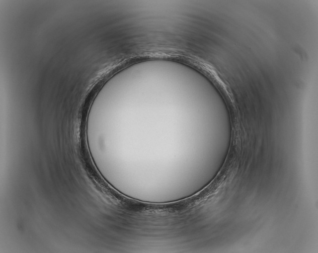 X0000111640299200907171044