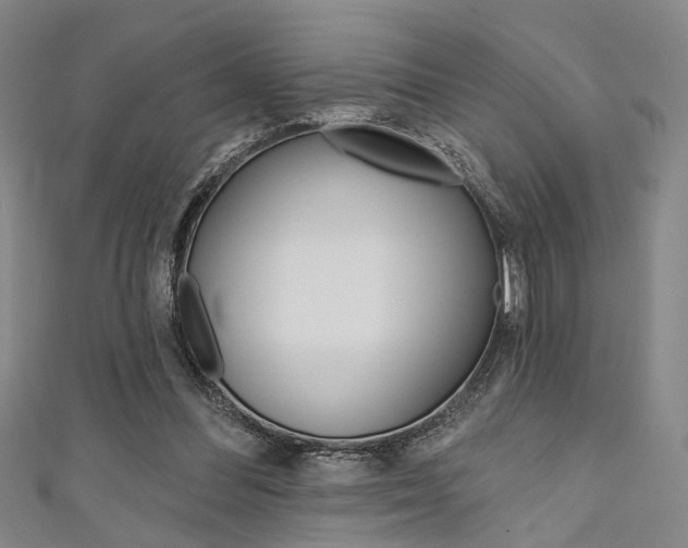 X0000111640300200907171044