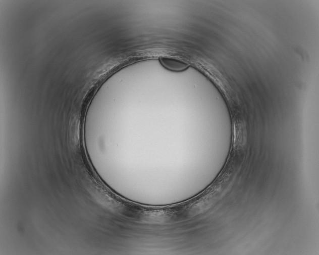 X0000111640301200907171044