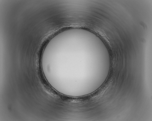 X0000111640303200907171043