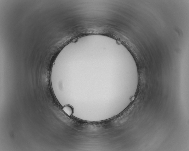 X0000111640305200907171043
