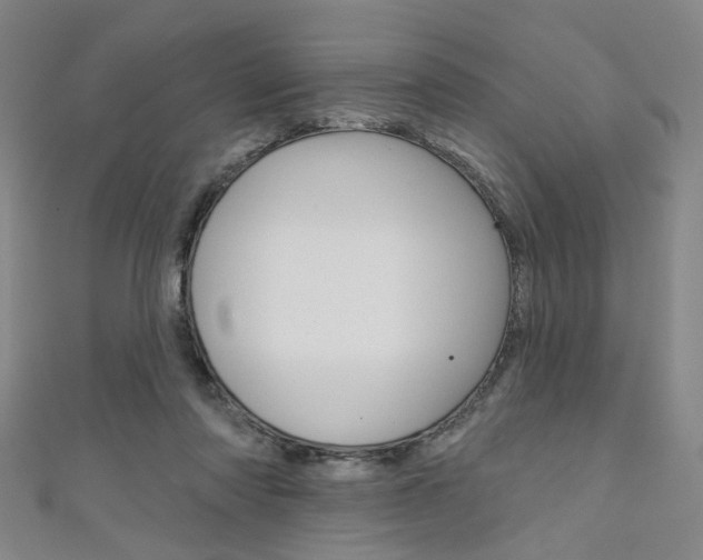 X0000111640310200907171043