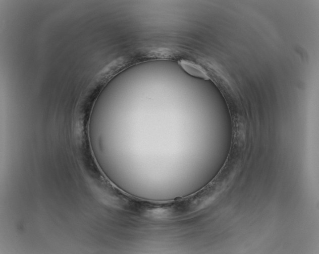 X0000111640312200907171043