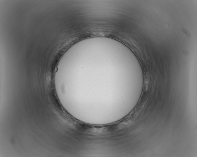 X0000111640314200907171043