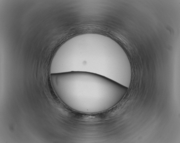 X0000111640315200907171043