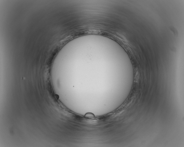 X0000111640318200907171043