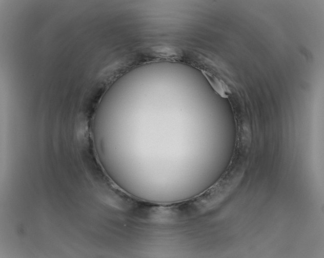 X0000111640320200907171043