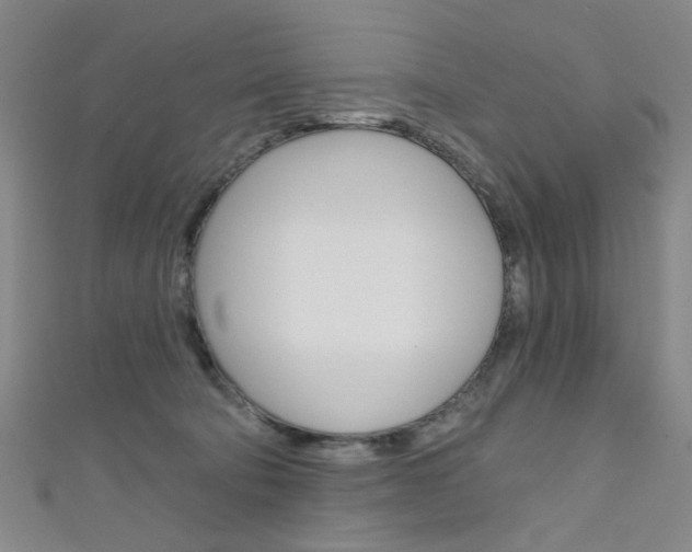 X0000111640322200907171043